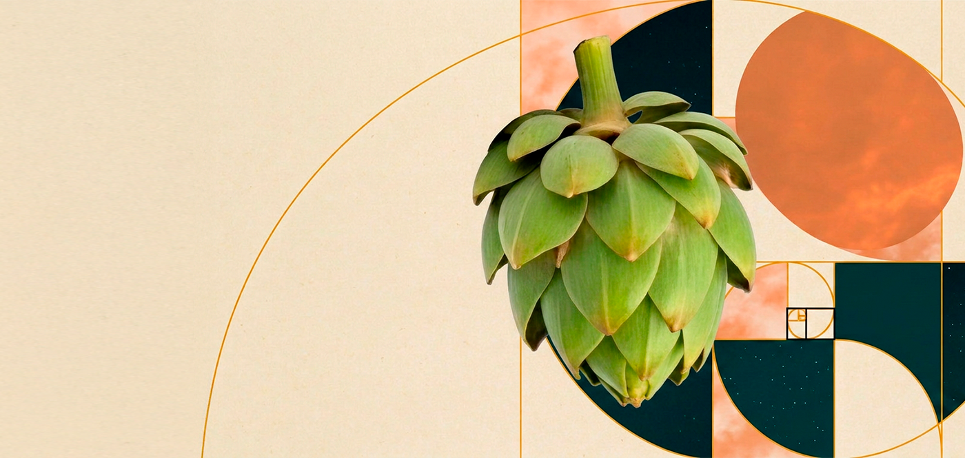 El secreto perfecto de nuestra tierra: